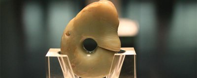 ​玉猪龙属于新石器时代的什么文化遗产